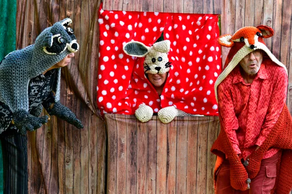 Waschbär, Hase und Fuchs im Wald