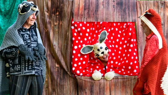 Waschbär, Hase und Fuchs im Wald